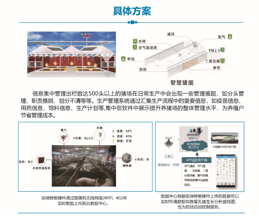 智慧养猪(图2)