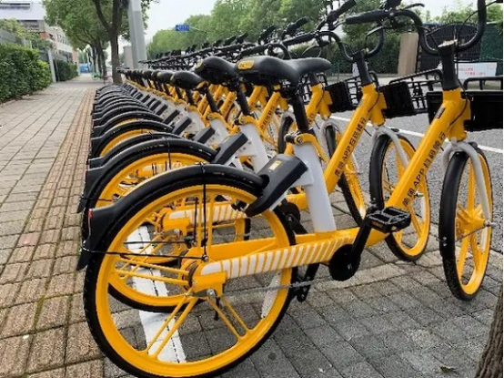 绿色出行 骑行降碳(图1)